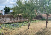 Chalet independiente con terreno en venta en la España, el Vendrell, ref: TR159304 foto
