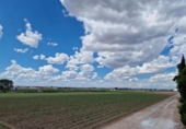 Casa de poble en venda a la España, Meliana, ref.: TR295476 foto