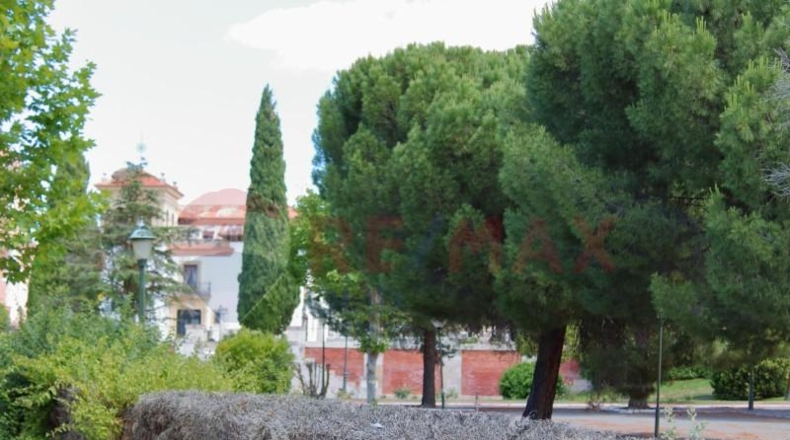 Valladolid - Boecillo - 24061m2