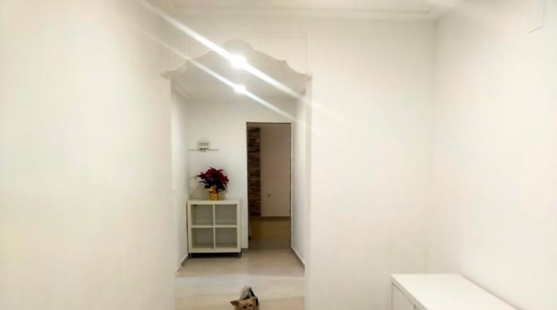 Alicante - Elx - 1800m2