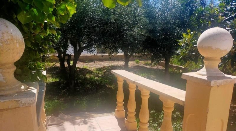 Alicante - Elx - 1800m2