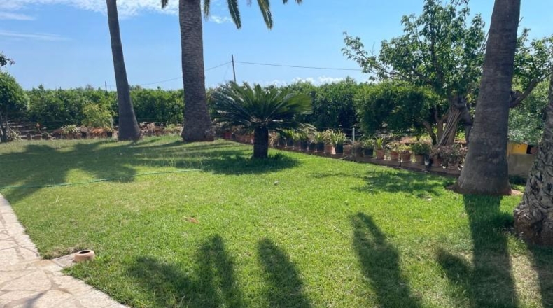 Castellón - Benicarló - 16000m2