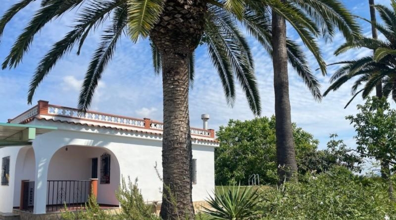 Castellón - Benicarló - 16000m2