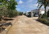 Xalet independent amb terreny en venda a la España, Benicarló, ref.: TR157491 foto
