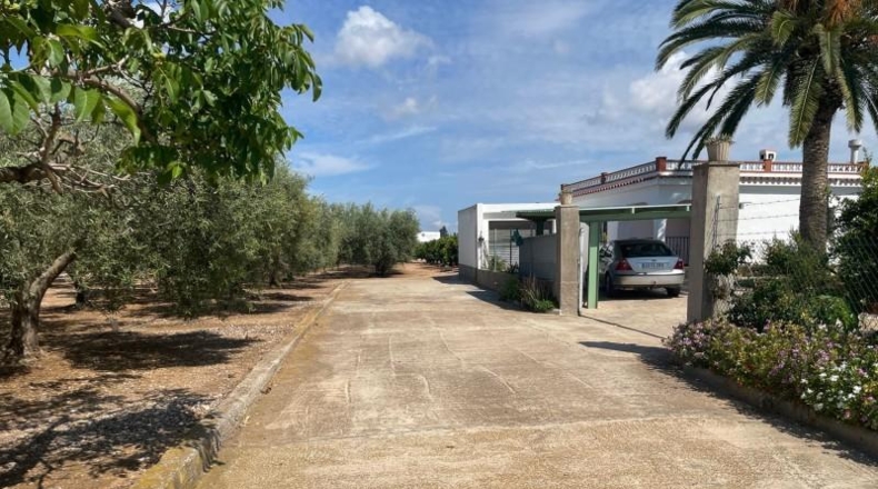 Castellón - Benicarló - 16000m2