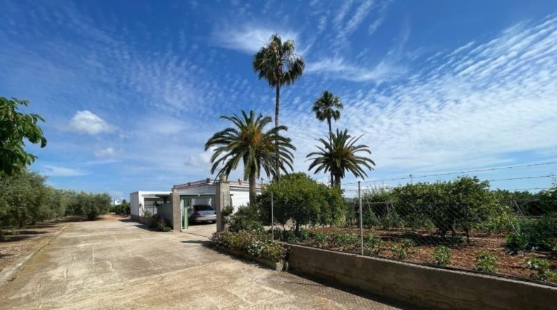 Castellón - Benicarló - 16000m2