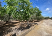 Xalet independent amb terreny en venda a la España, Benicarló, ref.: TR157491 foto