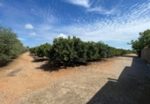 Xalet independent amb terreny en venda a la España, Benicarló, ref.: TR157491 foto