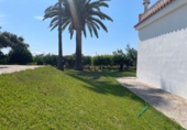 Xalet independent amb terreny en venda a la España, Benicarló, ref.: TR157491 foto