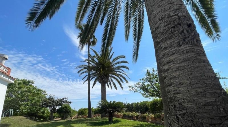 Castellón - Benicarló - 16000m2