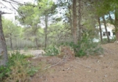 Suelo urbano en venta en la España, Moraira, ref: TR112653 foto