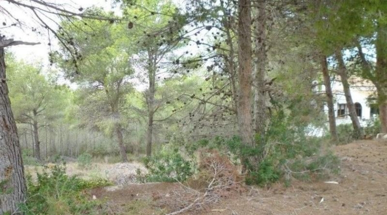 Alicante - Moraira - 1800m2