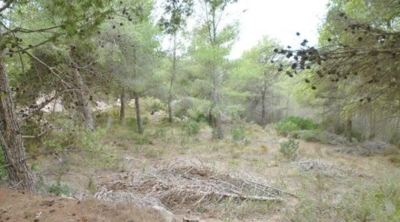 Alicante - Moraira - 1800m2