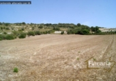 Non-developable land for sale on España, Manacor, ref: TR112976 photo
