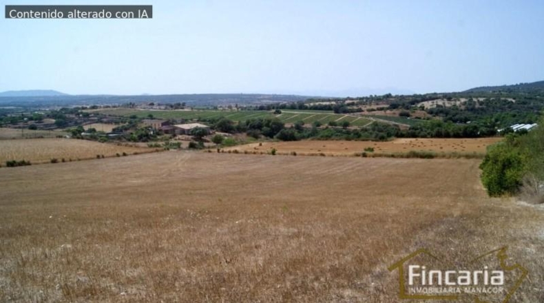 Balearic Islands - Manacor - 14057m2