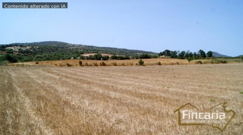 Balearic Islands - Manacor - 14057m2