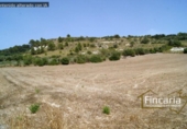 Non-developable land for sale on España, Manacor, ref: TR112976 photo