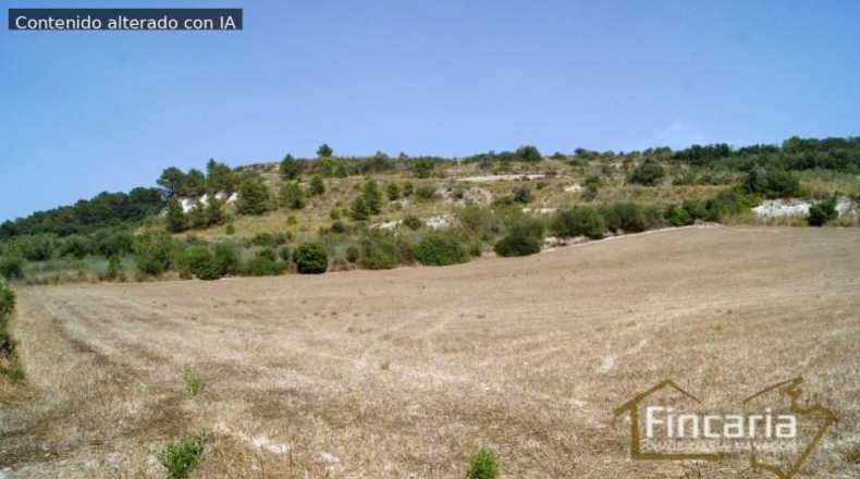 Balearic Islands - Manacor - 14057m2