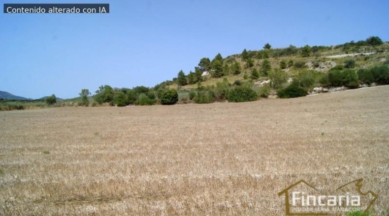 Balearic Islands - Manacor - 14057m2