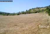 Non-developable land for sale on España, Manacor, ref: TR112976 photo