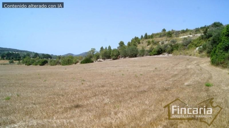 Balearic Islands - Manacor - 14057m2