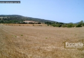 Non-developable land for sale on España, Manacor, ref: TR112976 photo