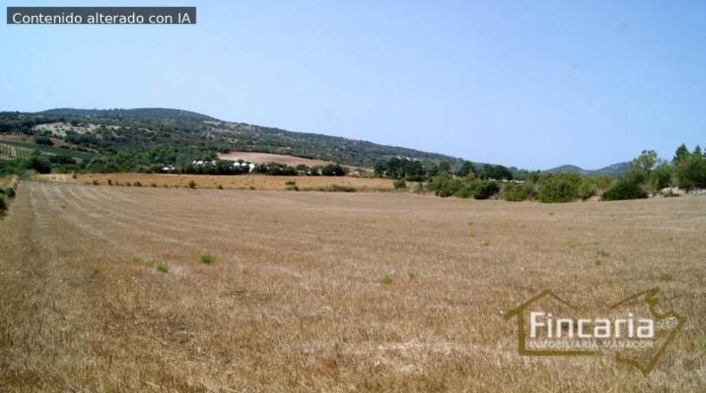 Balearic Islands - Manacor - 14057m2