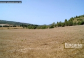 Non-developable land for sale on España, Manacor, ref: TR112976 photo