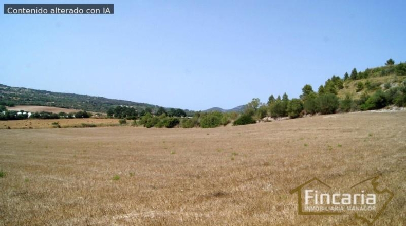 Balearic Islands - Manacor - 14057m2