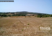 Non-developable land for sale on España, Manacor, ref: TR112976 photo