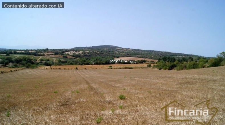 Balearic Islands - Manacor - 14057m2