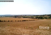 Non-developable land for sale on España, Manacor, ref: TR112976 photo