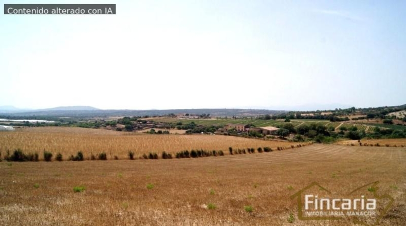 Balearic Islands - Manacor - 14057m2