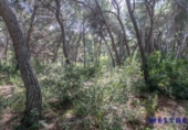 Suelo urbano en venta en la España, Moraira, ref: TR113073 foto