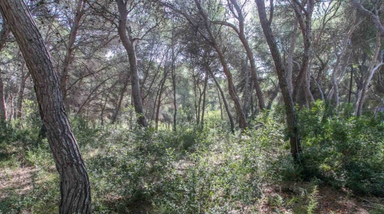 Alicante - Moraira - 876m2