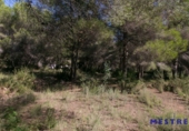 Suelo urbano en venta en la España, Moraira, ref: TR113073 foto