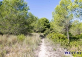 Suelo urbano en venta en la España, Moraira, ref: TR113073 foto