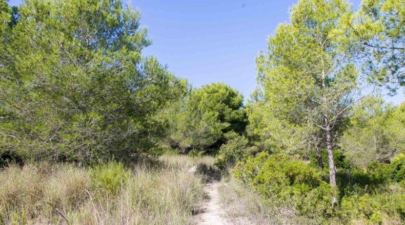 Alicante - Moraira - 876m2