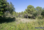 Suelo urbano en venta en la España, Moraira, ref: TR113073 foto