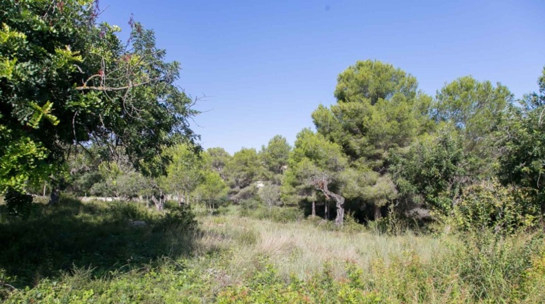 Alicante - Moraira - 876m2