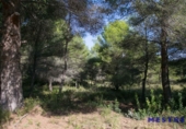 Suelo urbano en venta en la España, Moraira, ref: TR113073 foto