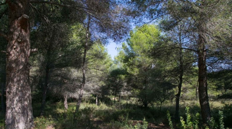 Alicante - Moraira - 876m2