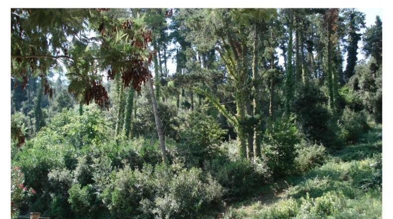 Barcelona - Vallromanes - 2554m2