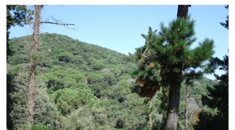 Barcelona - Vallromanes - 2554m2