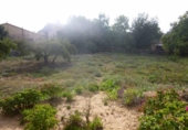 Urban land for sale on España, Almansa, ref: TR113973 photo