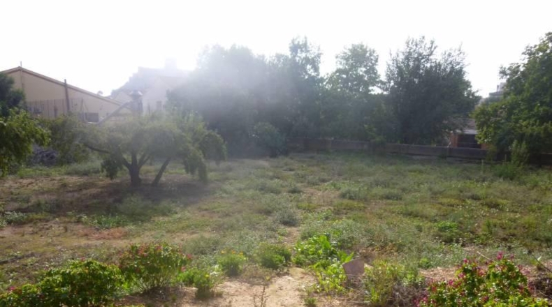 Albacete - Almansa - 1440m2