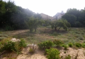 Urban land for sale on España, Almansa, ref: TR113973 photo