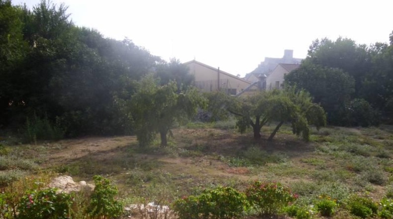 Albacete - Almansa - 1440m2