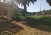 Detached villa with land for sale on España, Orihuela, ref: TR139970 photo
