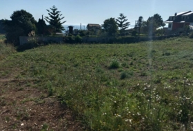 Sangenjo 3500&nbsp;м²